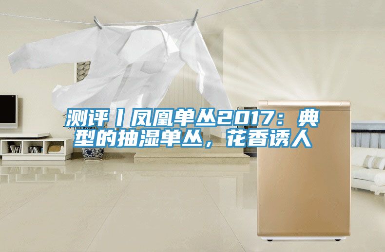 測評丨鳳凰單叢2017：典型的抽濕單叢，花香誘人