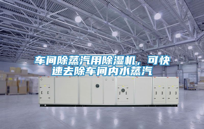 車間除蒸汽用除濕機，可快速去除車間內(nèi)水蒸汽