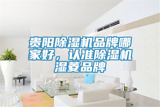 貴陽除濕機品牌哪家好，認準除濕機濕菱品牌