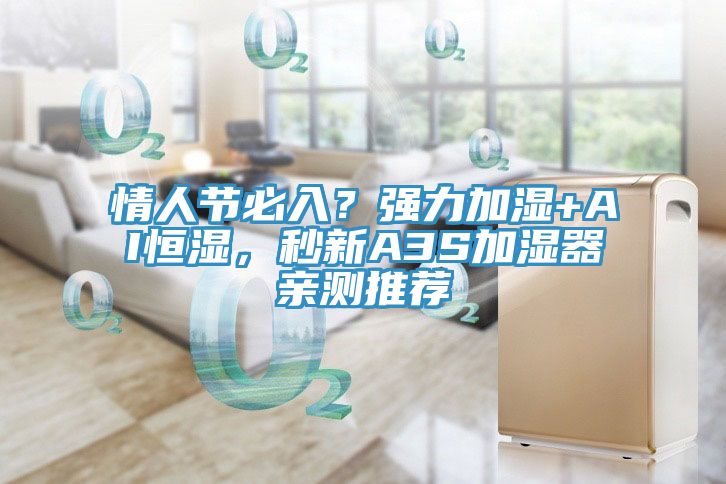 情人節必入？強力加濕+AI恒濕，秒新A3S加濕器親測推薦