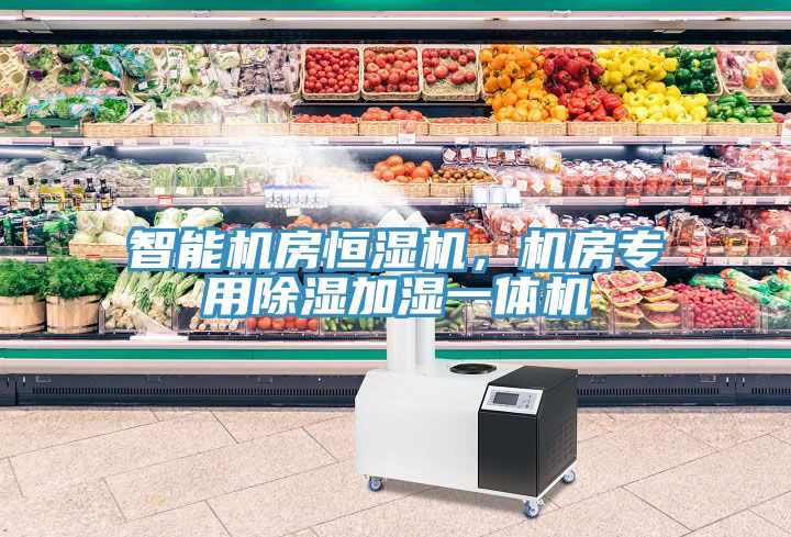 智能機房恒濕機，機房專用除濕加濕一體機