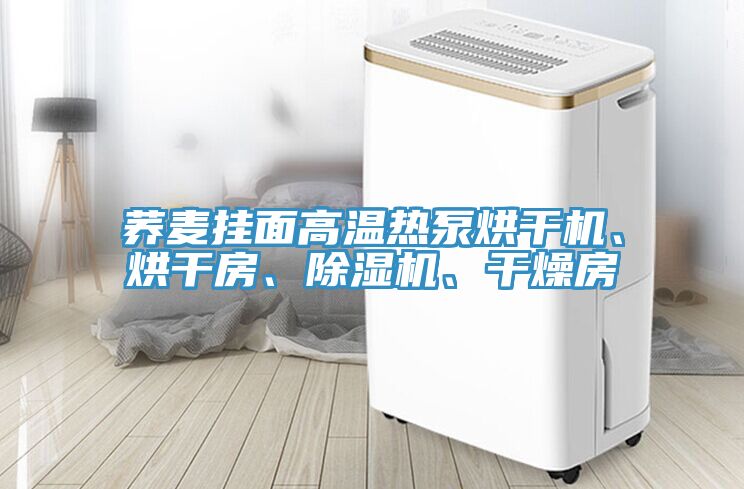 蕎麥掛面高溫熱泵烘干機、烘干房、除濕機、干燥房