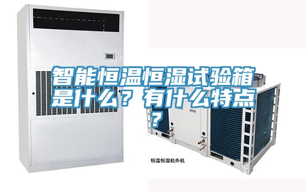 智能恒溫恒濕試驗箱是什么？有什么特點？