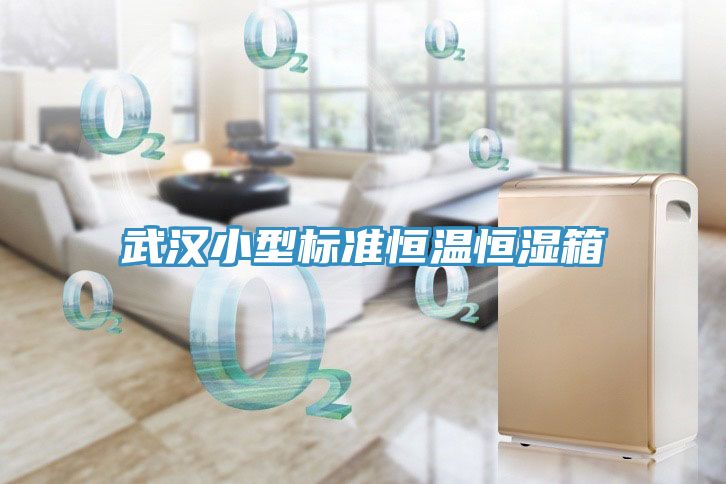 武漢小型標(biāo)準恒溫恒濕箱