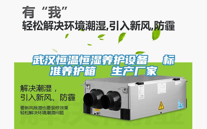 武漢恒溫恒濕養(yǎng)護設(shè)備  標(biāo)準養(yǎng)護箱  生產(chǎn)廠家