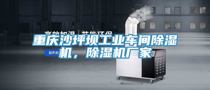 重慶沙坪壩工業車間除濕機，除濕機廠家