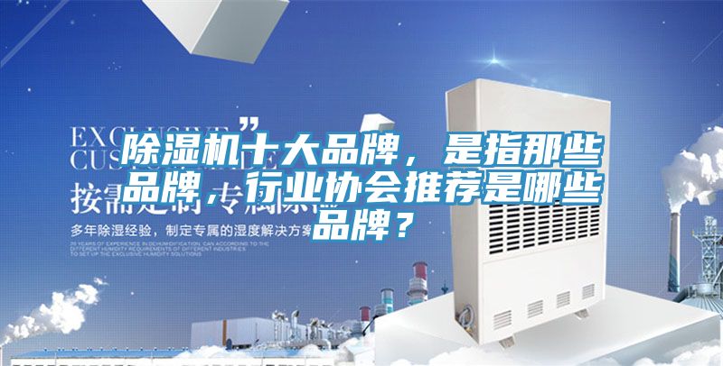 除濕機(jī)十大品牌，是指那些品牌，行業(yè)協(xié)會(huì)推薦是哪些品牌？