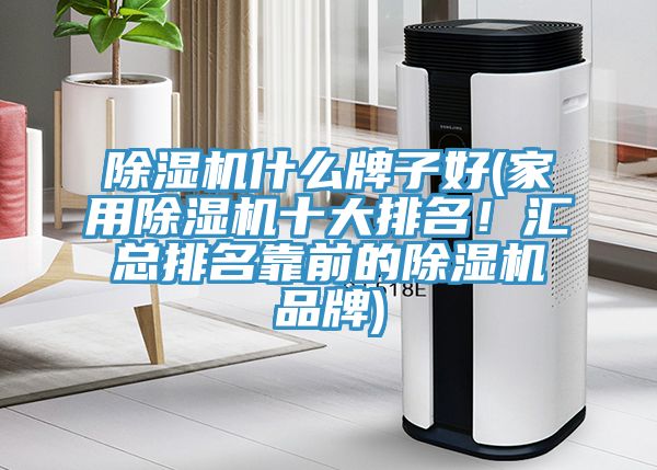 除濕機什么牌子好(家用除濕機十大排名！匯總排名靠前的除濕機品牌)