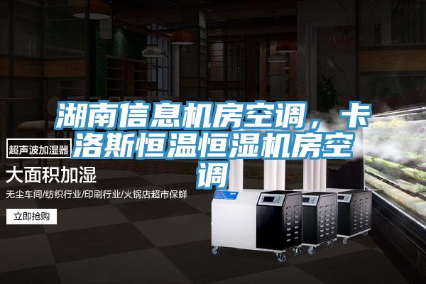 湖南信息機房空調，卡洛斯恒溫恒濕機房空調