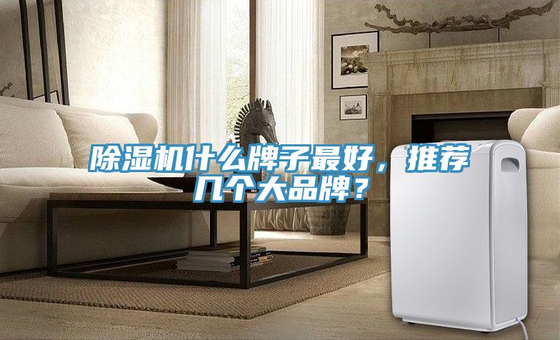 除濕機什么牌子最好，推薦幾個大品牌？