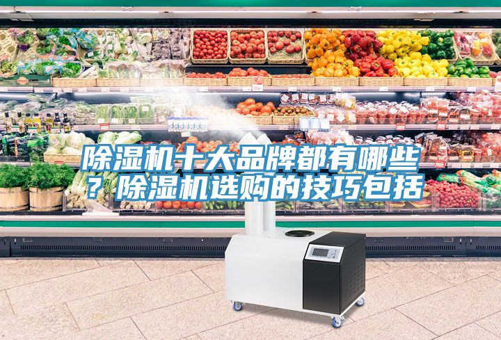 除濕機(jī)十大品牌都有哪些？除濕機(jī)選購(gòu)的技巧包括