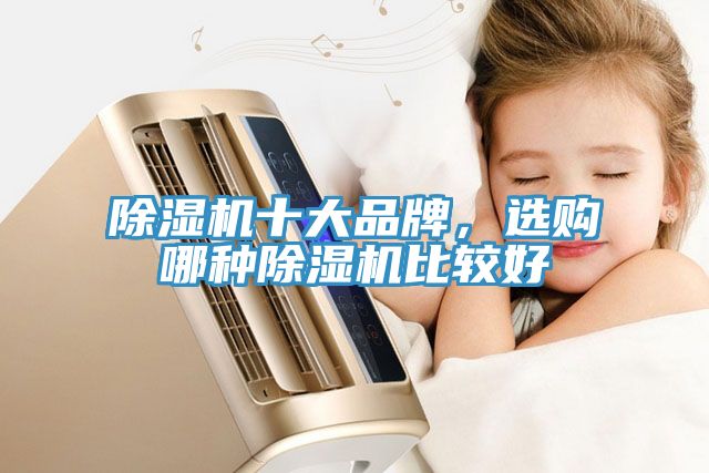 除濕機(jī)十大品牌，選購(gòu)哪種除濕機(jī)比較好