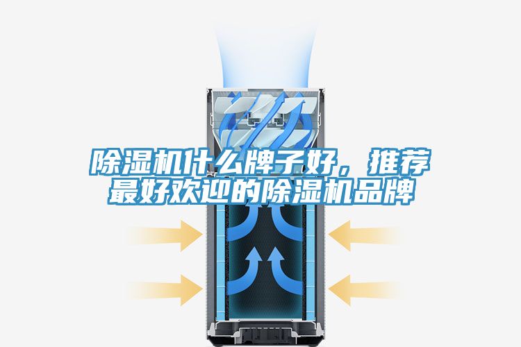 除濕機什么牌子好，推薦最好歡迎的除濕機品牌