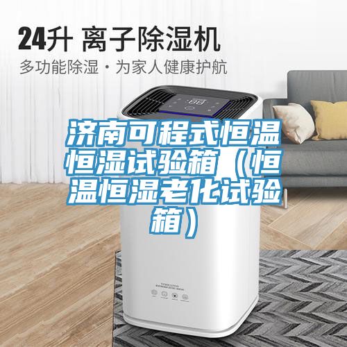 濟(jì)南可程式恒溫恒濕試驗箱（恒溫恒濕老化試驗箱）
