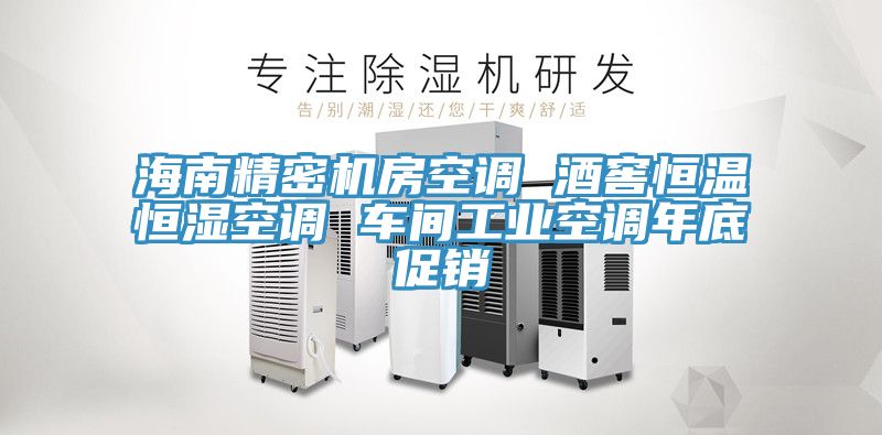 海南精密機(jī)房空調(diào) 酒窖恒溫恒濕空調(diào) 車(chē)間工業(yè)空調(diào)年底促銷(xiāo)