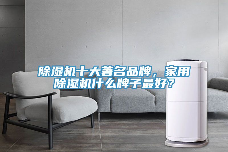 除濕機(jī)十大著名品牌，家用除濕機(jī)什么牌子最好？