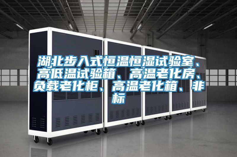 湖北步入式恒溫恒濕試驗室、高低溫試驗箱、高溫老化房、負載老化柜、高溫老化箱、非標