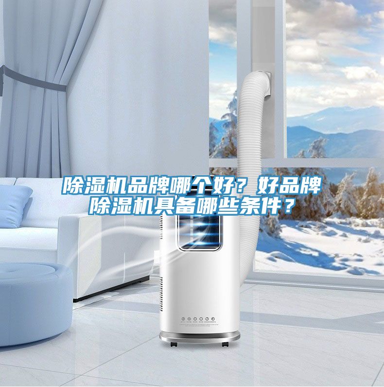 除濕機品牌哪個好？好品牌除濕機具備哪些條件？