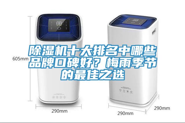 除濕機(jī)十大排名中哪些品牌口碑好？梅雨季節(jié)的最佳之選