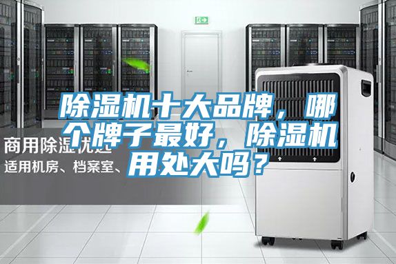 除濕機(jī)十大品牌，哪個(gè)牌子最好，除濕機(jī)用處大嗎？