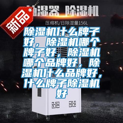 除濕機什么牌子好，除濕機哪個牌子好，除濕機哪個品牌好，除濕機什么品牌好，什么牌子除濕機好