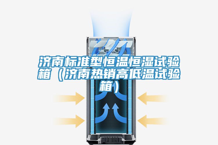 濟(jì)南標(biāo)準(zhǔn)型恒溫恒濕試驗箱（濟(jì)南熱銷高低溫試驗箱）
