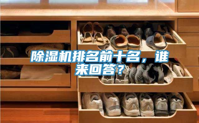 除濕機排名前十名，誰來回答？