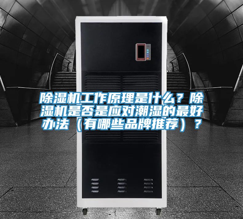 除濕機工作原理是什么？除濕機是否是應對潮濕的最好辦法（有哪些品牌推薦）？