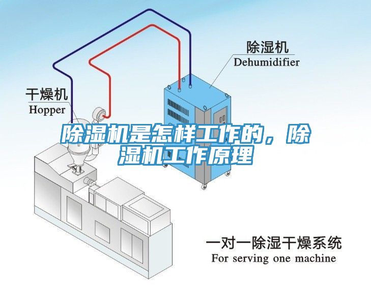 除濕機是怎樣工作的，除濕機工作原理