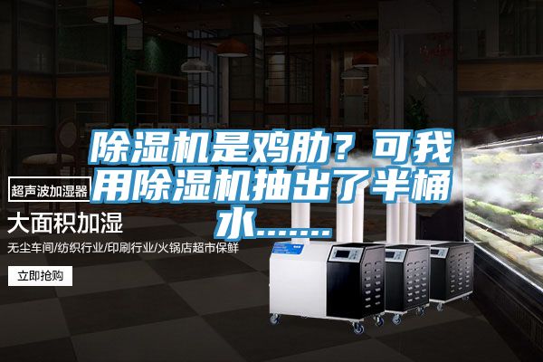 除濕機是雞肋？可我用除濕機抽出了半桶水.......