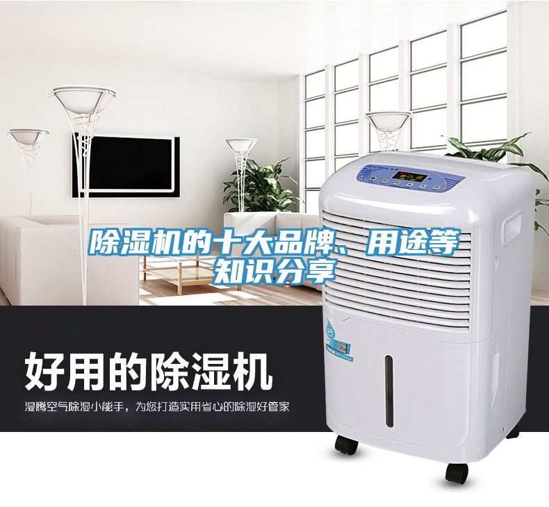 除濕機的十大品牌、用途等知識分享