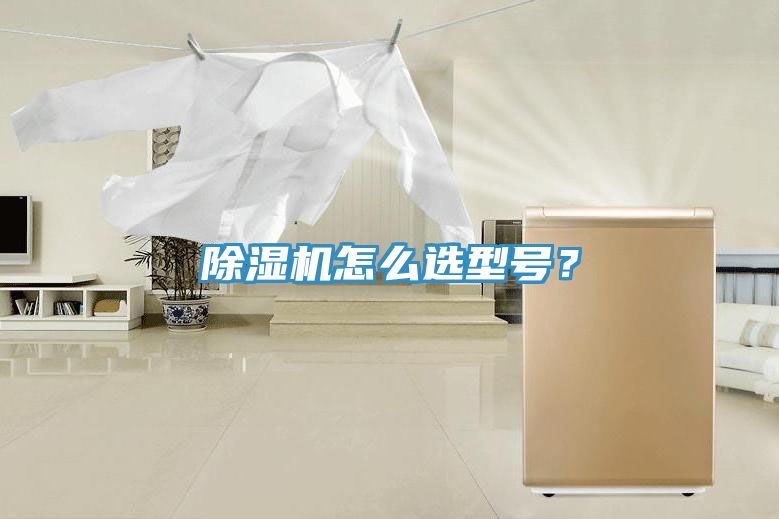 除濕機怎么選型號？