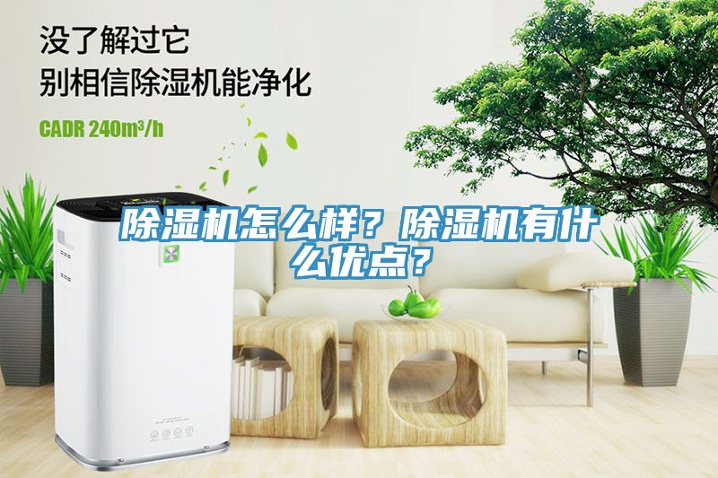 除濕機怎么樣？除濕機有什么優點？