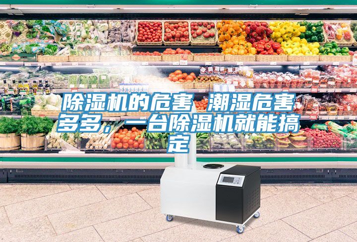除濕機的危害 潮濕危害多多，一臺除濕機就能搞定