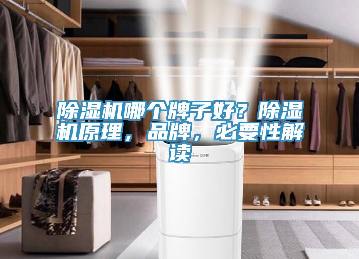 除濕機哪個牌子好？除濕機原理，品牌，必要性解讀