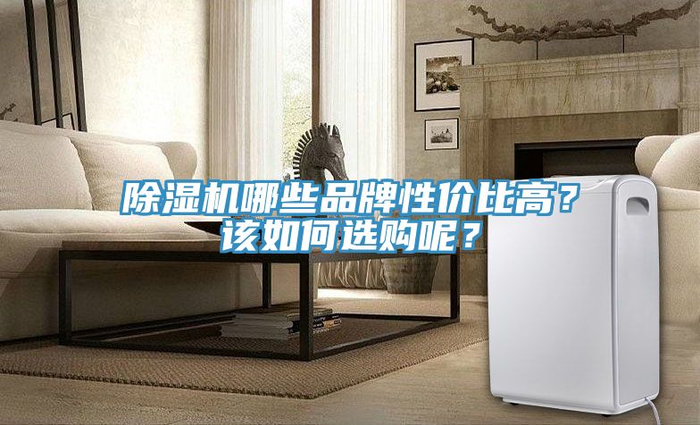 除濕機哪些品牌性價比高？該如何選購呢？